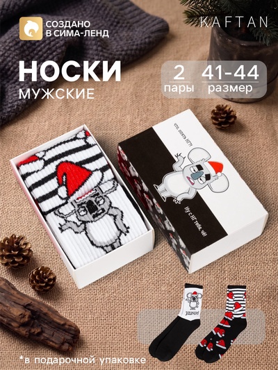 Носки мужские новогодние KAFTAN «С НГ», 2 пары, размер 41-44 (27-29 см)