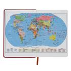 Ежедневник датированный 2021 годом, "Вивелла", формат А5, 168 листов, линия, карта мира, золотой срез, перфорированные уголки,ляссе, коричневый - Фото 3