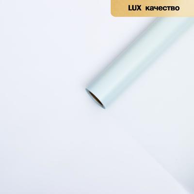 Пленка для цветов "Однотонная" голубой, 0,58 х 10 м