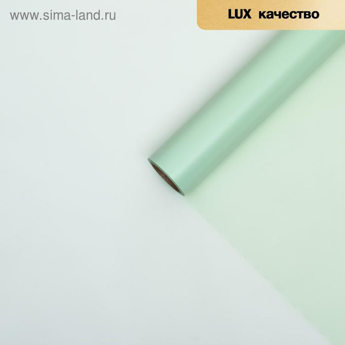 Пленка для цветов "Однотонная" зелёный, 0,58 х 10 м - Фото 1