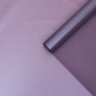 Пленка для цветов "Нежность", фиолетовый виноград, 0,58 х 10 м - Фото 2