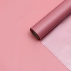 Пленка для цветов "Нежность", серебристо-красный, 0,58 х 10 м - Фото 1