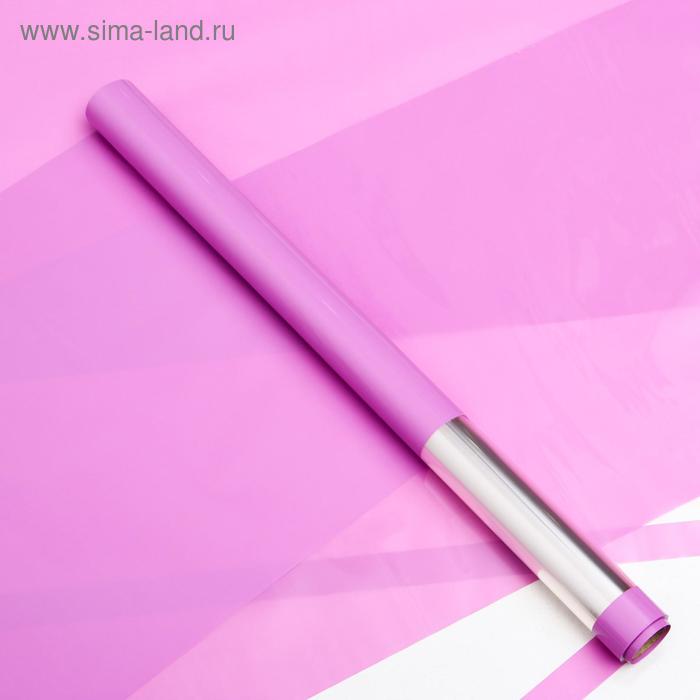 Пленка для цветов "Прозрачная полоса" фиолетовый, 0,58 х 10 м - Фото 1