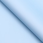 Пленка для цветов матовая "Признание", пудра, голубой, 0,58 х 10 м - фото 8970932