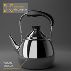 Чайник для плиты Orchid, 1 л, нержавеющая сталь, серебристый - Фото 2