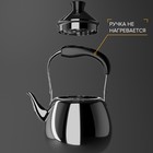 Чайник для плиты Orchid, 1 л, нержавеющая сталь, серебристый - Фото 5