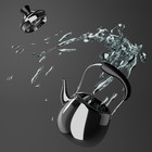 Чайник для плиты Orchid, 1 л, нержавеющая сталь, серебристый - Фото 6