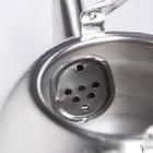 Чайник Orchid, 2 л, нержавеющая сталь, индукция, серебристый - Фото 4