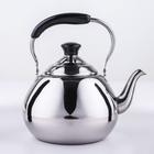 Чайник из нержавеющей стали Orchid, 4 л, цвет серебряный - фото 6162535