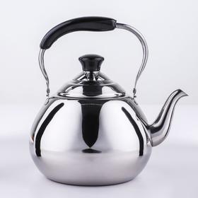 Чайник из нержавеющей стали Orchid, 4 л, цвет серебряный