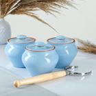 Горшочки для запекания Вятская керамика «Роса», набор 3 шт. 700 мл, ухват, голубые - Фото 6