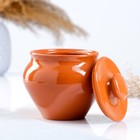 Горшочки для запекания Вятская керамика «Терракота», набор 6 шт. 500 мл, ухват, полка, оранжевые - Фото 3