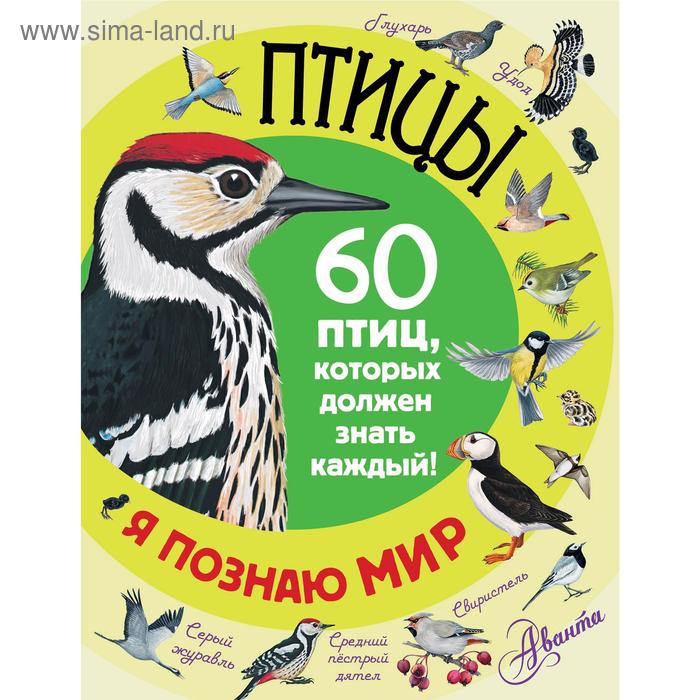 «Птицы» - Фото 1