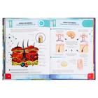 Большая энциклопедия 4D в дополненной реальности, 256 стр. - Фото 7