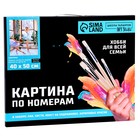 Картина по номерам на холсте с подрамником «Балерины», 40 х 50 см - Фото 4
