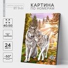 Картина по номерам на холсте с подрамником «Волки», 40 х 50 см - Фото 1