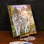 Картина по номерам на холсте с подрамником «Волки», 40 х 50 см - Фото 2