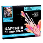 Картина по номерам на холсте с подрамником «Волки», 40×50 см - Фото 4