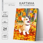 УЦЕНКА Картина по номерам на холсте с подрамником «Корги в осенней листве» 40×50 см - Фото 1