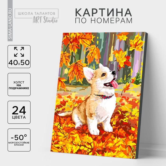 УЦЕНКА Картина по номерам на холсте с подрамником «Корги в осенней листве» 40×50 см - Фото 1
