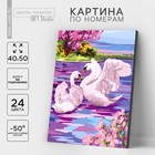 Картина по номерам на холсте с подрамником «Лебеди» 40×50 см - фото 1309735