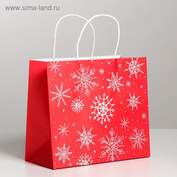 Пакет подарочный крафтовый «С Новым годом!», 22 × 25 × 12 см - Фото 1
