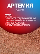 Корм для рыб «Пижон» артемия сухая 60 %, 30 г - Фото 2