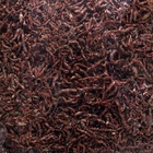 Корм для рыб «Пижон» мотыль, 10 г - Фото 5