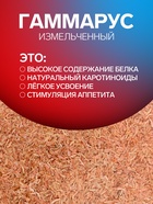 Корм для рыб и черепах «Пижон» гаммарус измельченный, 15 г - Фото 2