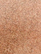 Корм для рыб и черепах «Пижон» гаммарус измельченный, 15 г - Фото 3