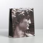 Пакет подарочный ламинированный вертикальный, упаковка, Perfect, ML 23 х 27 х 11.5 см 4725237