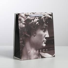 Пакет подарочный ламинированный вертикальный, упаковка, Perfect, ML 23 х 27 х 11.5 см 4725237