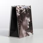 Пакет подарочный ламинированный вертикальный, упаковка, Perfect, ML 23 х 27 х 11.5 см 4725237