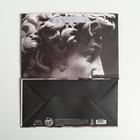 Пакет подарочный ламинированный вертикальный, упаковка, Perfect, ML 23 х 27 х 11.5 см 4725237