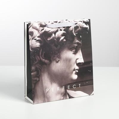 Пакет ламинированный вертикальный Perfect, M 26 × 30 × 9 см