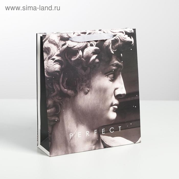 Пакет ламинированный вертикальный Perfect, M 26 × 30 × 9 см - Фото 1