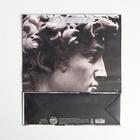 Пакет ламинированный вертикальный Perfect, M 26 × 30 × 9 см - Фото 4