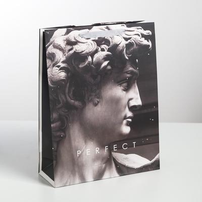 Пакет подарочный ламинированный вертикальный, упаковка, Perfect, L 31 х 40 х 11,5 см