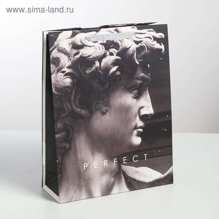 Пакет подарочный ламинированный вертикальный, упаковка, Perfect, L 31 х 40 х 11,5 см - Фото 1