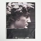 Пакет подарочный ламинированный вертикальный, упаковка, Perfect, L 31 х 40 х 11,5 см - Фото 4