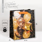 Пакет подарочный ламинированный вертикальный, упаковка, «С Днем Рождения», M 26 х 30 х 9 см - фото 3810188