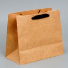 Упаковка, пакет подарочный крафтовый с пластиковым окном, «Man», 24 х 20 х 11см - Фото 3