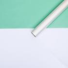 Пленка для цветов "Прозрачная полоса" тиффани, 0,58 х 10 м - фото 53675358