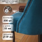 Гвозди ТУНДРА, декоративные, обивочные, 19×22 мм, хром, 200 шт. - Фото 1