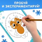 Раскраска - альбом «Дедушка Мороз», 72 стр., с трафаретами и наклейками - Фото 6