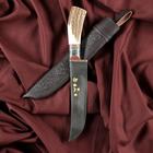 Нож Пчак Шархон - Большой, косуля, широкая рукоять, гарда олово гравировка. ШХ-15 (17-19 см) - фото 1130821