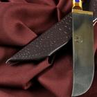 Нож Пчак Шархон - Чирчик, оргстекло, ёрма, гарда латунь, клинок с гравировкой. ШХ-15 (10-12 - Фото 2