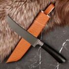 Нож Корд Куруш - Малый, граб черный, сухма, пуговица, гарда олово. НС 420 (13-14 см) - фото 12179276