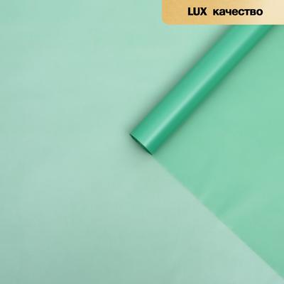 Пленка для цветов "Однотонная" мятный, 0,58 х 10 м