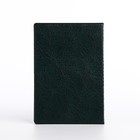 Обложка для паспорта, цвет зелёный - фото 9706373